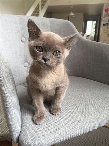 Ihr vierter Wurf war bisher der beste!