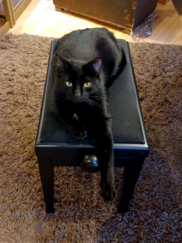 DIESEL - möchte wieder durchstarten