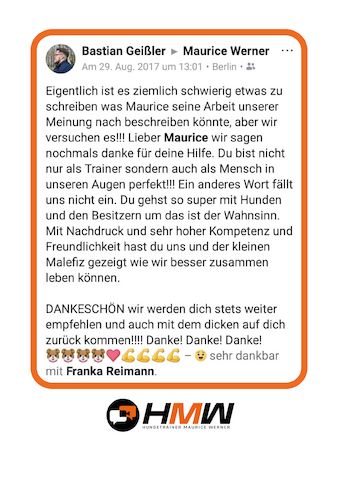 Professionelles Hundetraining – Persönlich oder auch via Video