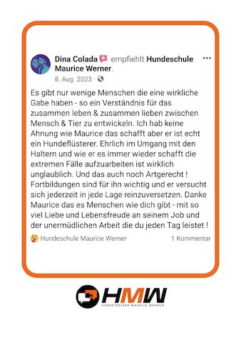 Professionelles Hundetraining – Persönlich oder auch via Video