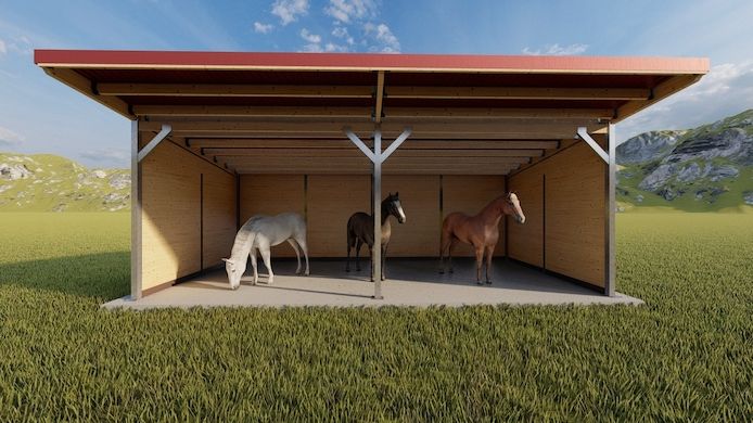 Pferdebox kaufen & Offenstall kaufen und Pferdestall Top - Stallbau