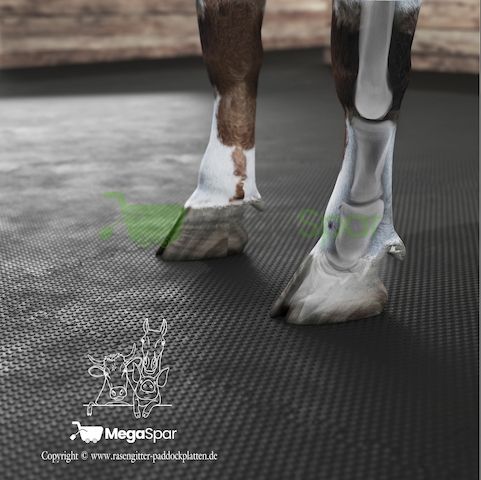 Rutschfeste Stallmatten & Pferdematten | Liegematte für Pferde kaufen