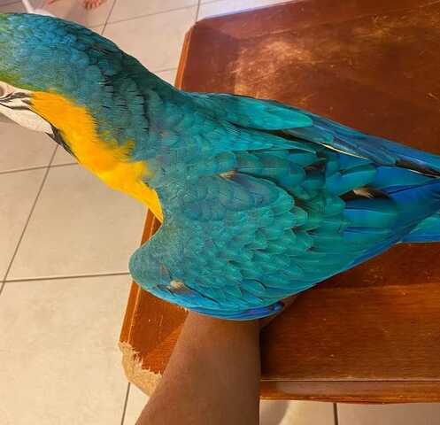 Eine Frau mit einem warmen Herzen sucht die wahre Liebe.