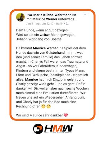 Professionelles Hundetraining – Persönlich oder auch via Video