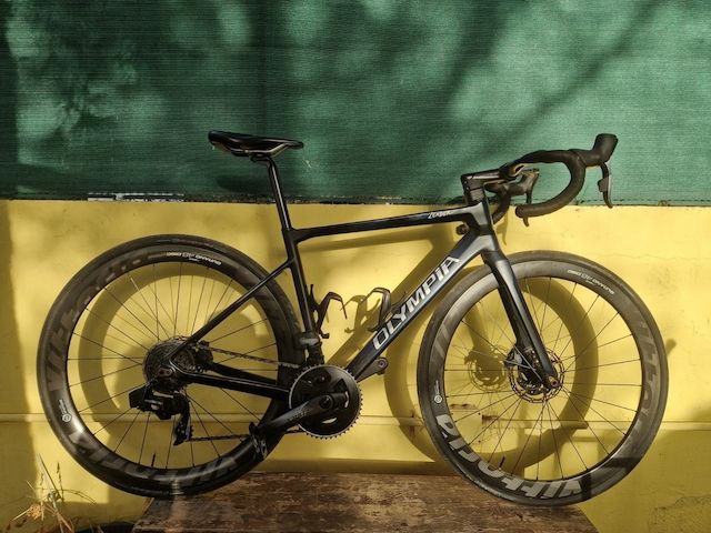 Rennrad Carbon Olympia Leader