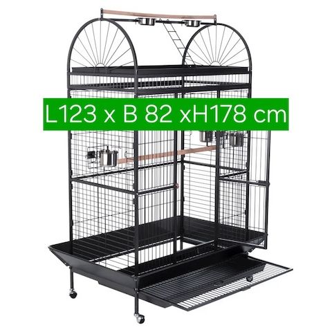 Salomonen Edelpapagei Paar Zahm, 7 Monate jung mit Voliere & Zubehör