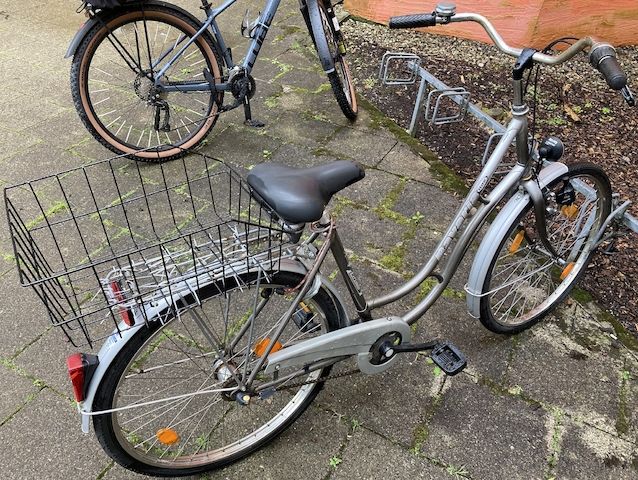 Stadtfahrrad Bavaria Line Lizzard für Damen, Nabenschaltung, Beleuchtung, Korb