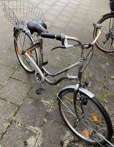 Stadtfahrrad Bavaria Line Lizzard für Damen, Nabenschaltung, Beleuchtung, Korb