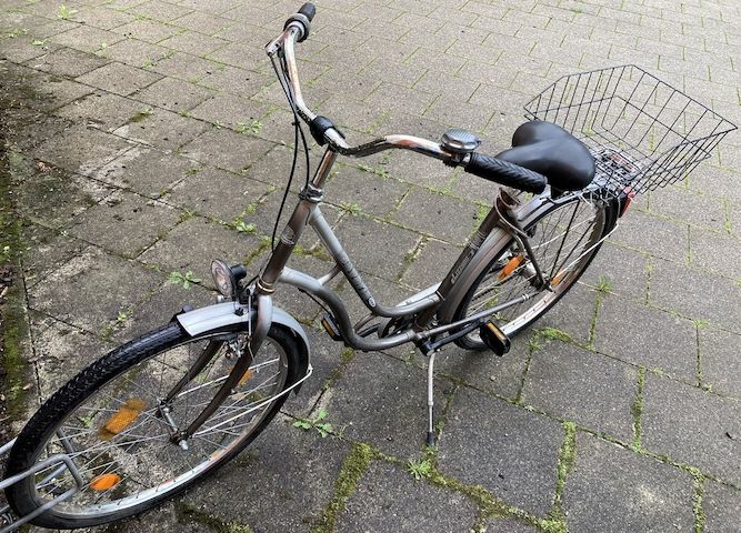 Stadtfahrrad Bavaria Line Lizzard für Damen, Nabenschaltung, Beleuchtung, Korb