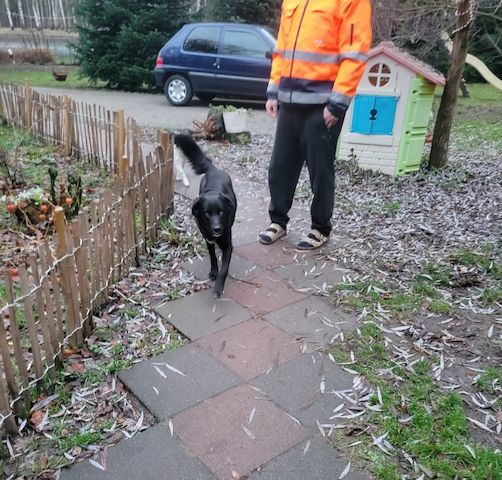 Anna, a.d.Tierschutz, unkompliziert, liebenswert