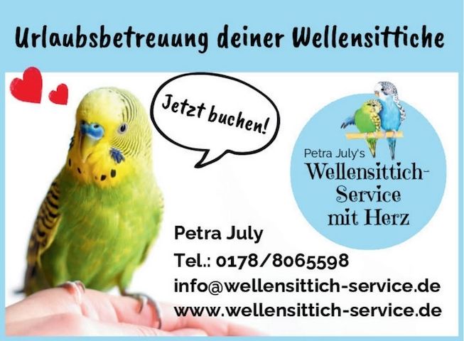 Urlaubsbetreuung deiner Wellensittiche