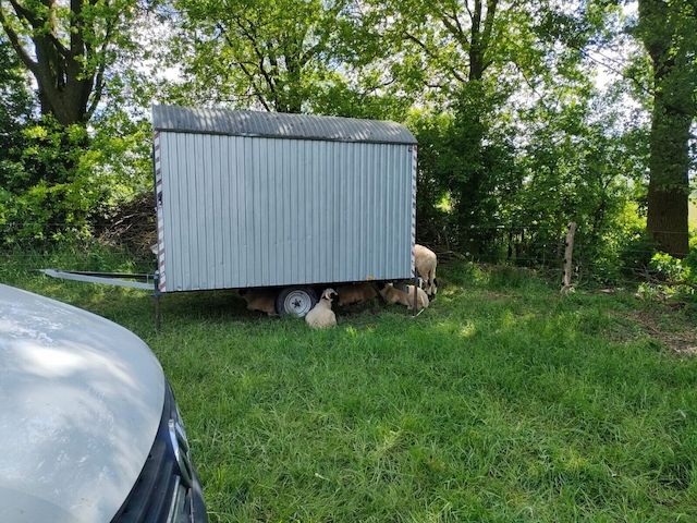 Bauwagen, Tiny Haus 3,60x2,20 m