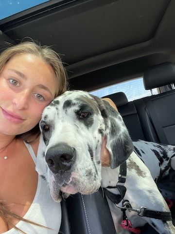 Erotische sexuelle Massage