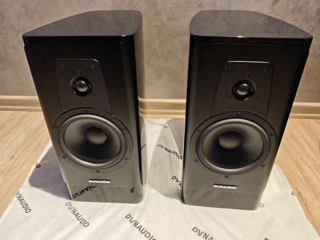 Dynaudio Contour Black Edition im Top Zustand