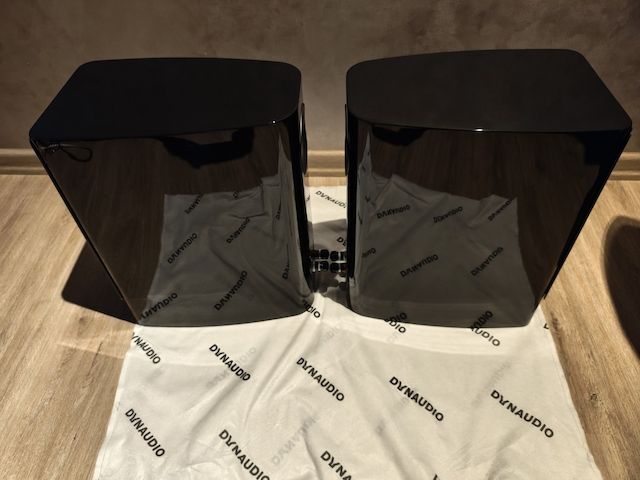 Dynaudio Contour Black Edition im Top Zustand