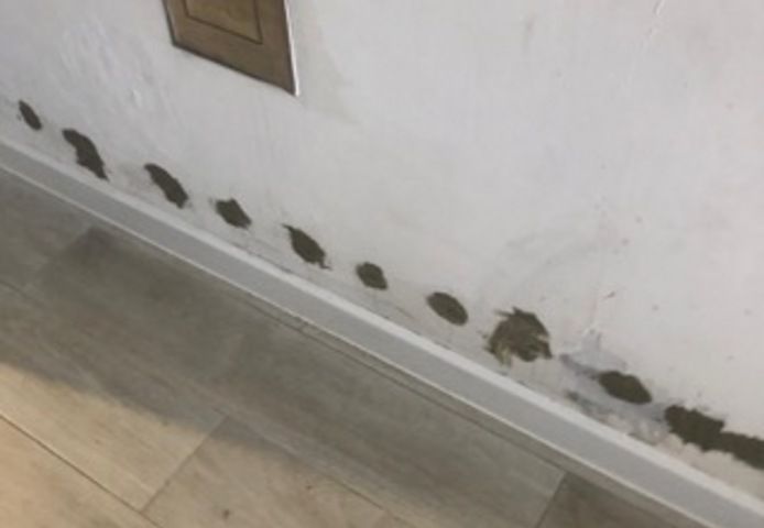 Entwässerung, Kapillarinjektion deutschlandweit