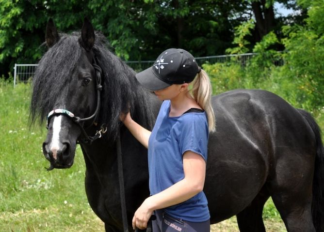 süß und sehr gesund Friese, die auf der Suche nach guten Hause