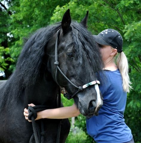 süß und sehr gesund Friese, die auf der Suche nach guten Hause