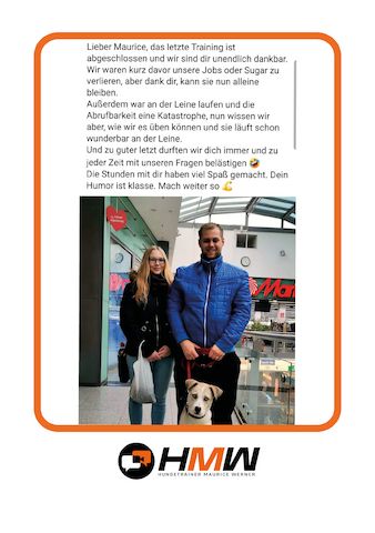 Professionelles Hundetraining – Persönlich oder auch via Videoanalyse