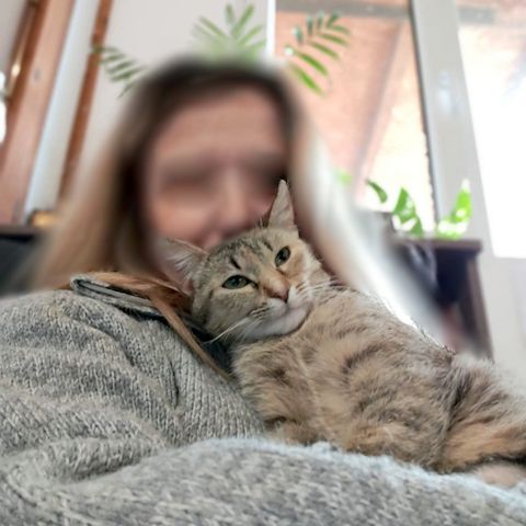 MINA - temperamentvolle Kuschelqueen