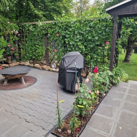 Idyllischer Kleingarten Garten 400 qm Steinhaus Bad Küche