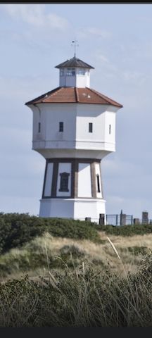 Neuanfang mit Herz & Leidenschaft: Suche Frau für das echte Leben (und die Zukunft)