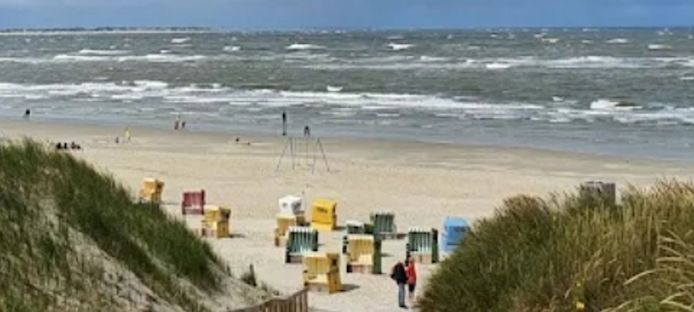 Neuanfang mit Herz & Leidenschaft: Suche Frau für das echte Leben (und die Zukunft)