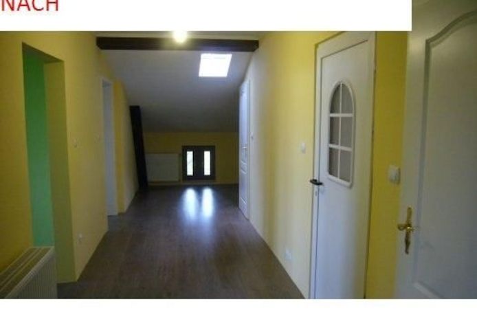 Maler in Berlin sucht was zum Streichen oder neu Tapezieren