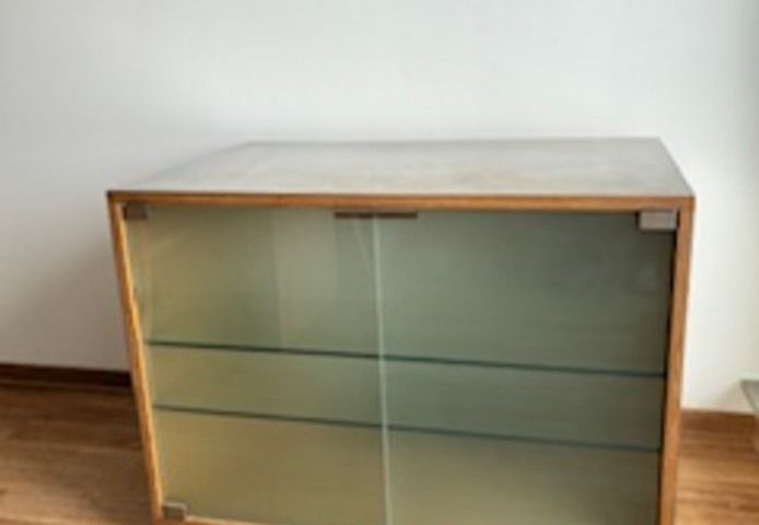 TV Rack auf Rollen Einzelstück