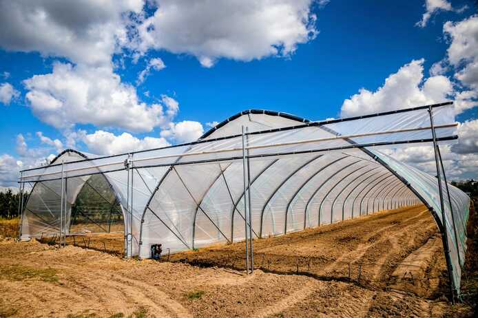 Folientunnel, Gewächshaus, Pflanzzelt Folienzeltsystem Folienzelt Bogenhalle Folienhaus Treibhaus