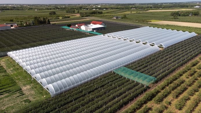 Folientunnel, Gewächshaus, Pflanzzelt Folienzeltsystem Folienzelt Bogenhalle Folienhaus Treibhaus