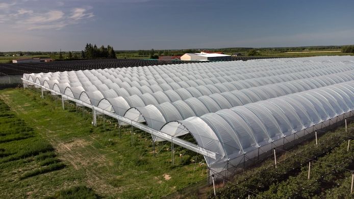 Folientunnel, Gewächshaus, Pflanzzelt Folienzeltsystem Folienzelt Bogenhalle Folienhaus Treibhaus