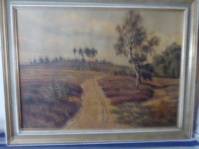 Bild Märkische Heide