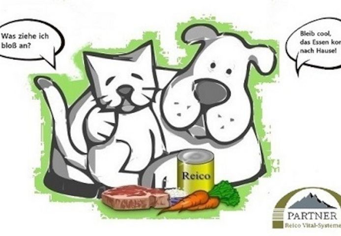 Wie sollte das optimale Futter für deinen Hund aussehen?