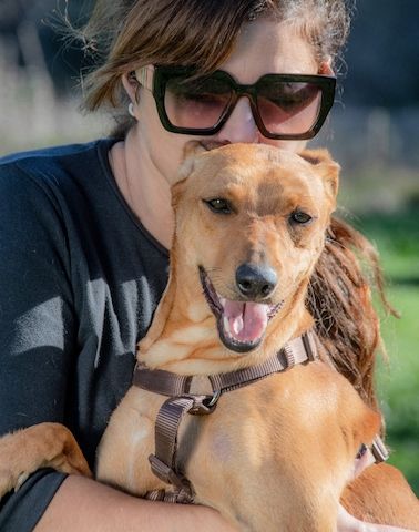 Ciana - eine sanfte Nachzüglerin