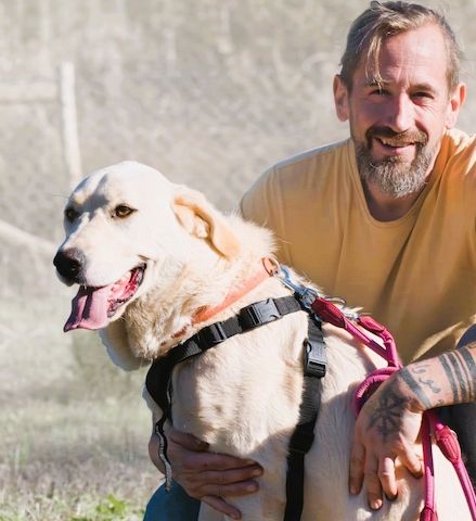 Pflegestelle gesucht (Raum Vogtland)