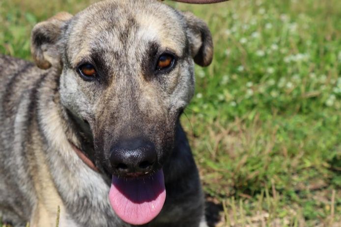 Jennifer - ein liebes Mädchen