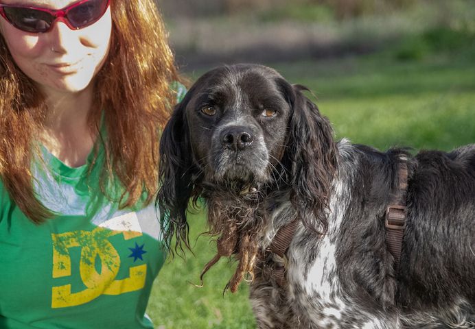 Xico - ein unkomplizierter Begleiter