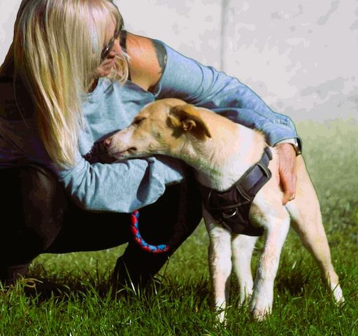 River - lieb und aufgeschlossen