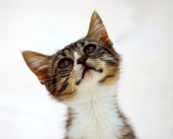 Kim - ein kleines Glückskind