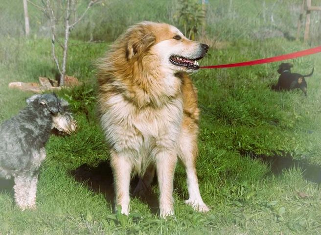 Rolex - anhänglich und aufgeschlossen