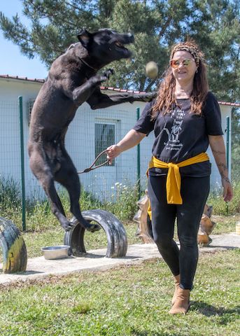 Diego - jung und verspielt