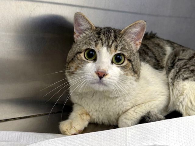 HARRY möchte aus dem Käfig raus