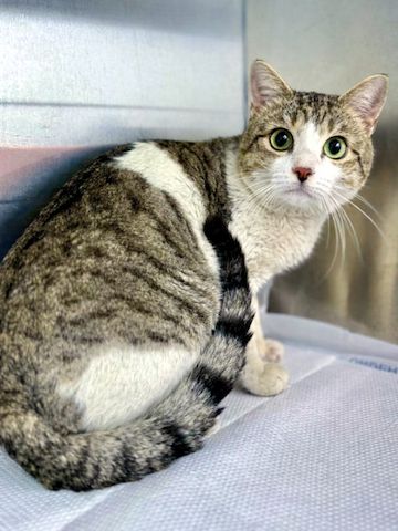 HARRY möchte aus dem Käfig raus