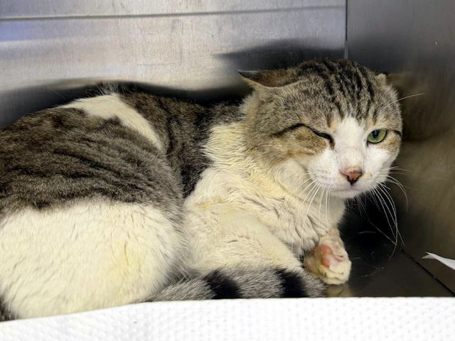 HARRY möchte aus dem Käfig raus