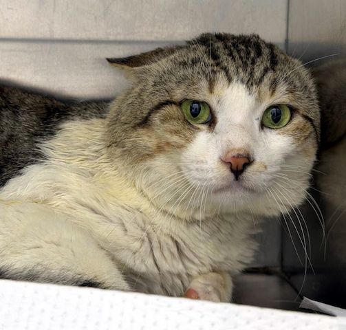 HARRY möchte aus dem Käfig raus