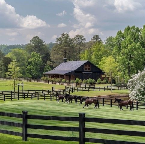 Suche Festanstellung auf Ranch/ Pferdehof