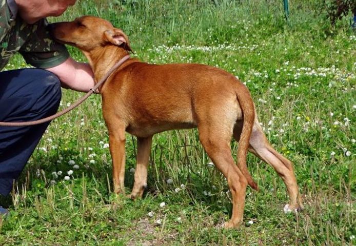 Ciana - eine sanfte Nachzüglerin