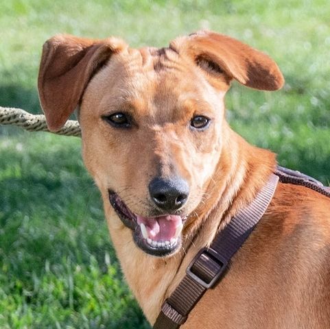 Ciana - eine sanfte Nachzüglerin