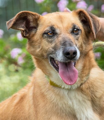 Sunny - eine selbstvewusste Dame